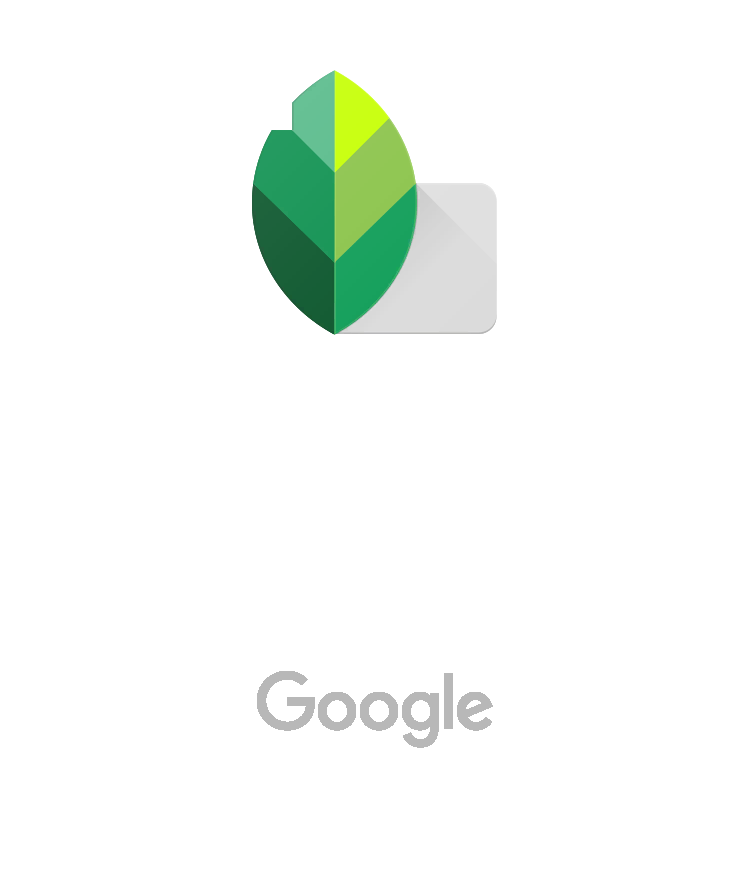 App Snapseed von Google